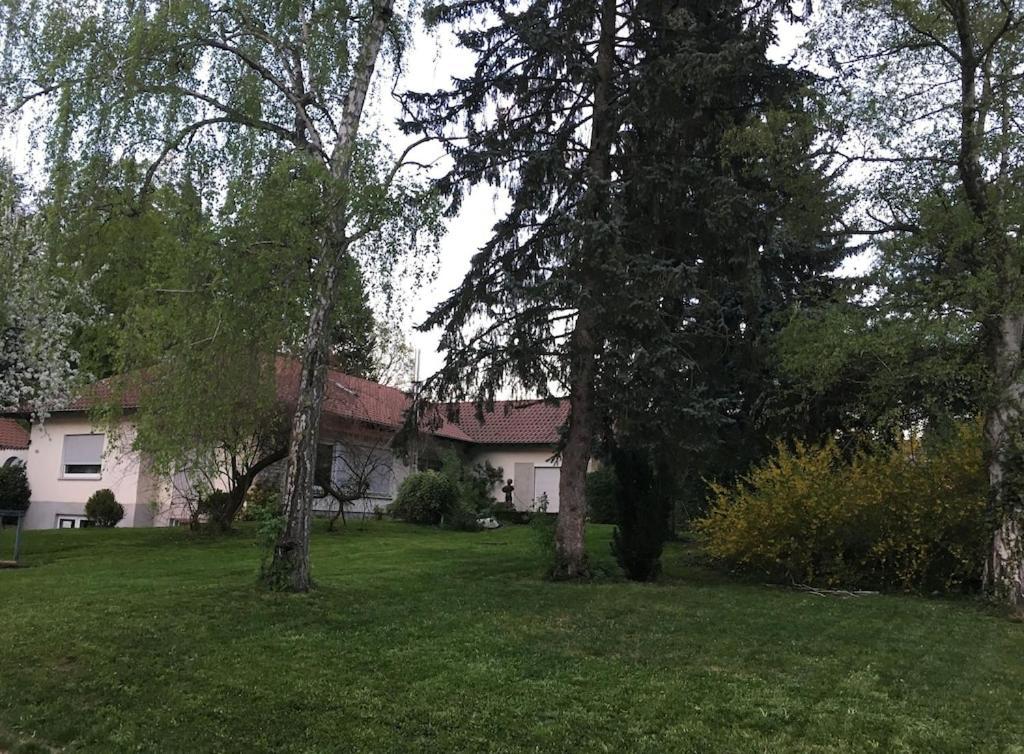 Schoene Ferienwohnung 2,5 Zimmer In Stadtnaehe Mit Eigenem Hofgarten Balingen Bagian luar foto